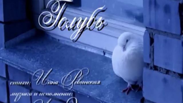 Игорь Заскалета 