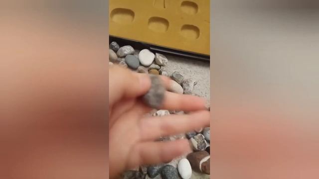 Моя коллекция камней