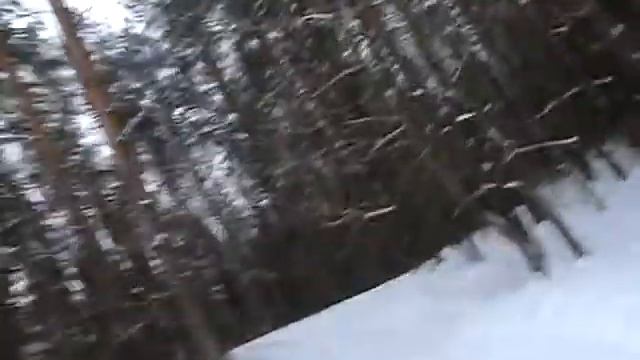 (Winter) Saturday Walk.