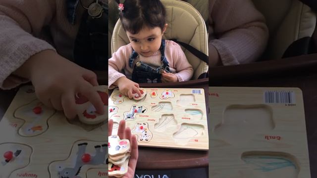 Милана учит домашних животных #xaxalove #милана#умница