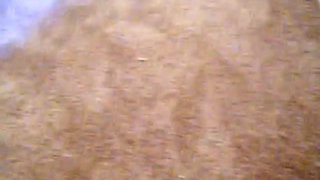 STAIRS INSTALLED & CARPET