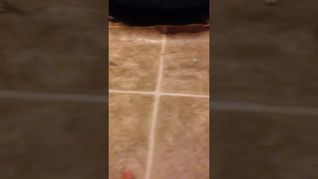 Water Under Linoleum