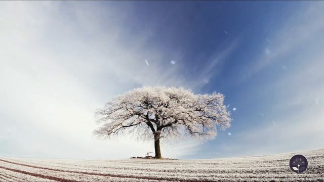 Recital Of The Ratana Sutta (The Jewel Discourse)