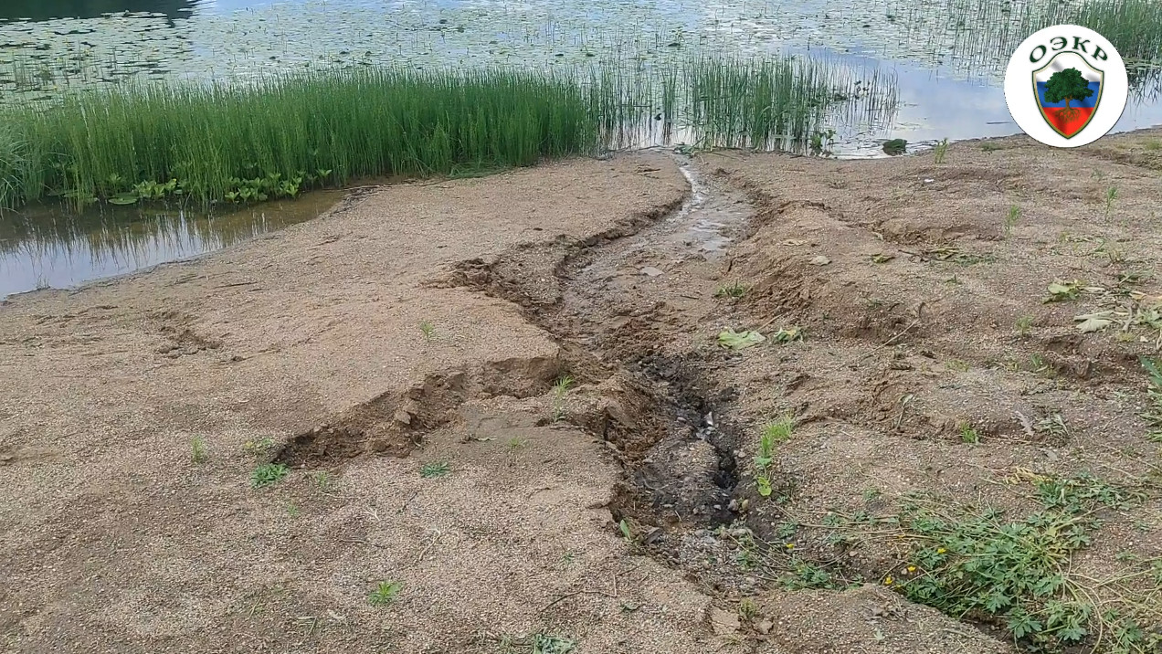 МУТНЫЕ ВОДЫ. ЯГАНОВО