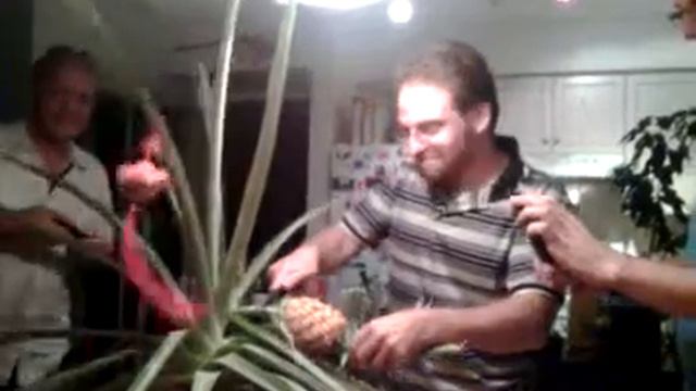 SOMA Pineapple Party (1 Of 2)