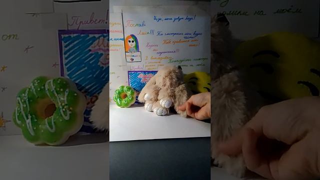 10 фактов о моём зайке|мир play-doh от Лизы.