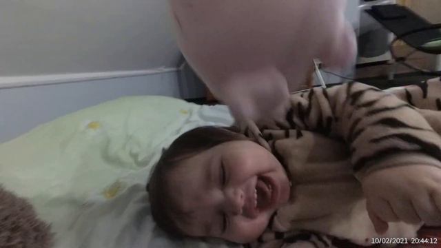 Реальный бой СВИНКИ против ТИГРА