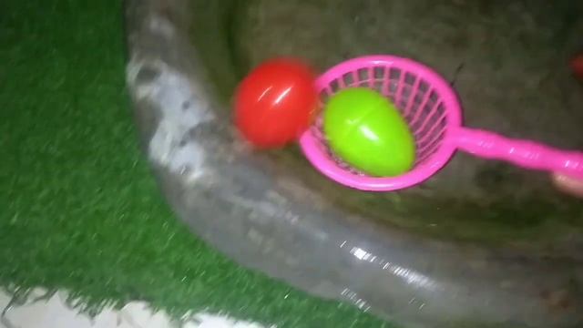 Collor Full Surpise Egg Dapat Siput Lucu .ikan Glowfish.ikan Molli Dan Mainan