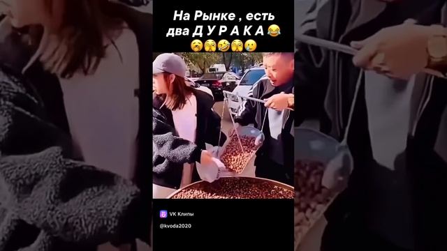 03b8df584ee8679b3636d9721233bcb9