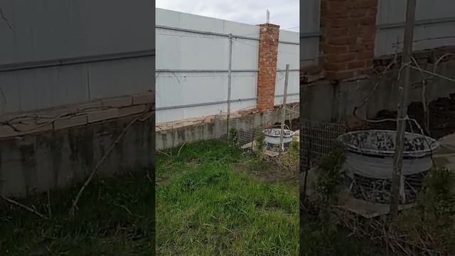 Как увеличить урожай винограда