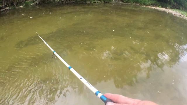 Fishing Small Creek For Aggressive Panfish
