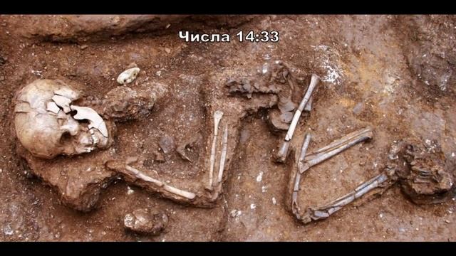 Утонченные Локоны