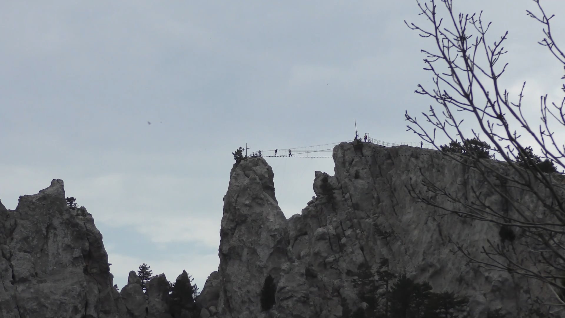 A9e9836fd8ce4937d462f9b5541a8566