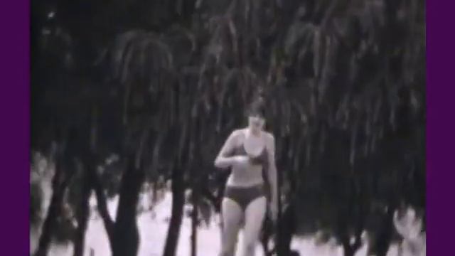 ЛЕТО 1977