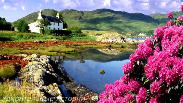 Вдовец-миллионер решил проверить свою деревенскую невесту и установил в доме прослушку. А дальше...