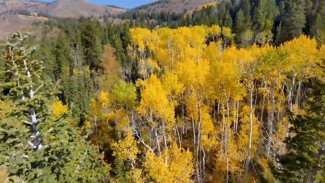 Прекрасная расслабляющая музыка - Хватит думать, Музыка для снятия стресса, Успокаивающая музыка