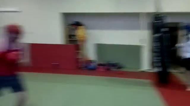 8e989995275a61fb0323f2cff775a6c8