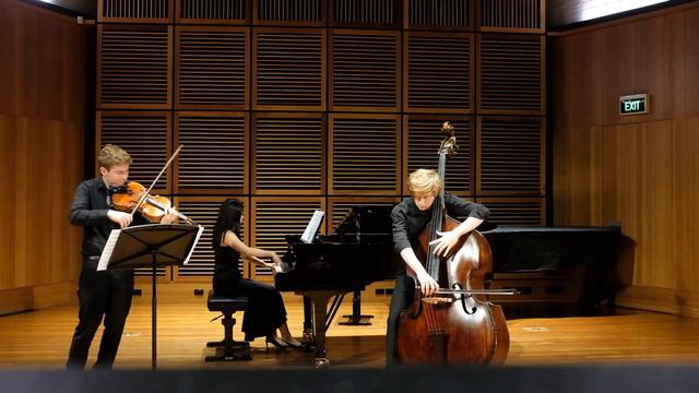 Invierno Porteno Piazzolla. Jason Henery Double Bass , Raphael Masters Viola, Vanessa Li Piano