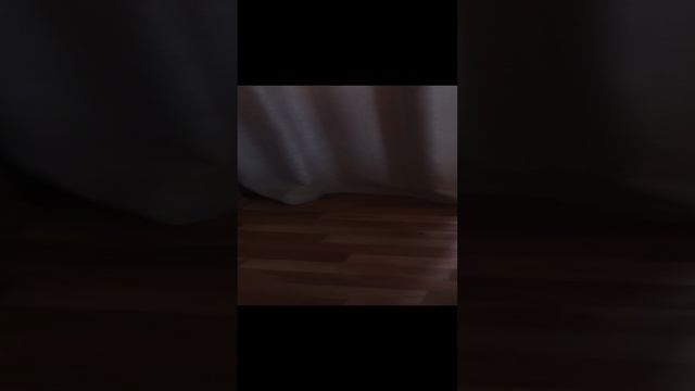 влог с гулянки