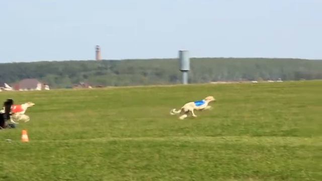 Вереск, 09.05.2013 CACIL, первый круг