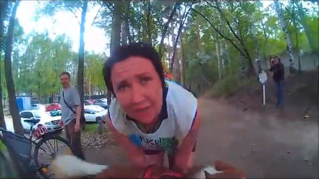 Хаски гонка . 