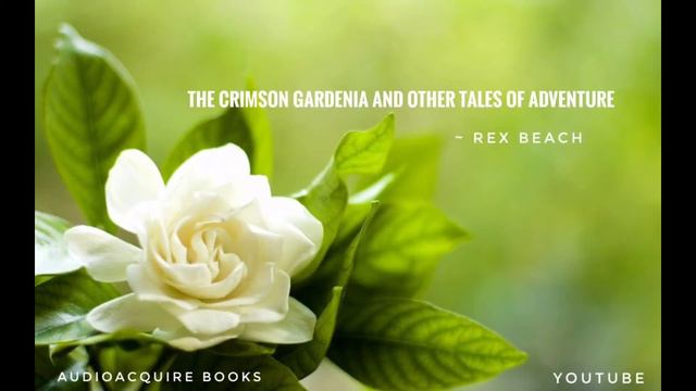 The Crimson Gardenia And Other Tales Of Adventure | Part 5-8 | Rex Beach | Audiobook
