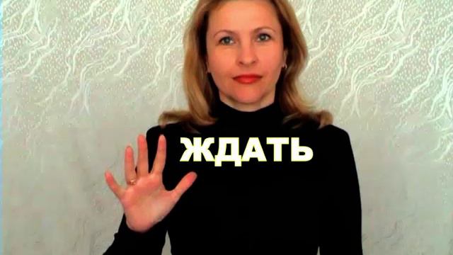 ЖЕСТОВЫЙ ЯЗЫК. СЛОВАРЬ. Ждать