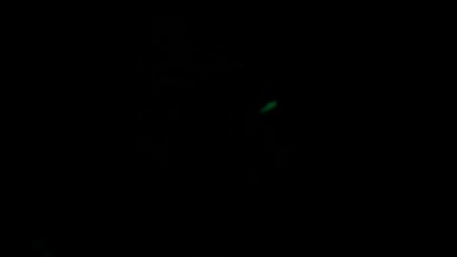 Машины в полный газ