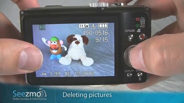 Panasonic ZS6/ZS7: Deleting