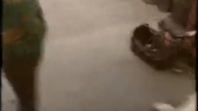 Misfit Needs Loving-TheZuell