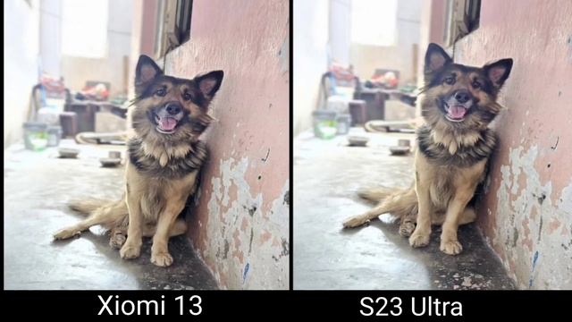 324737fed2953c38181376537c148cda