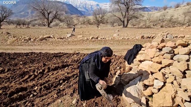Start Farming On Grandma's Beautiful Farm
