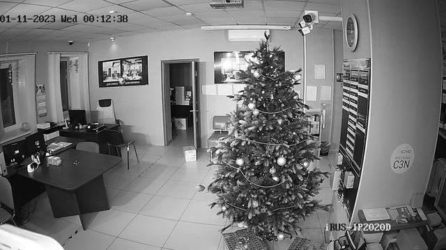 IRUS-IP2020D(Ночь)