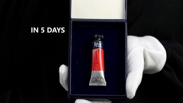 ROSA Gallery Watercolours