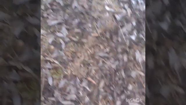 дача жизнь настроение родник Дачные мотивы.
