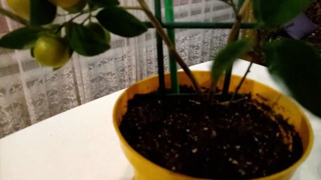 7f8e39fd525b7667e6a41f815a8d986a