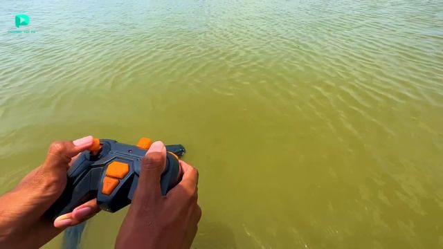 RC Water Dolphin Fastest Fish Unboxing  testing - Chatpat toy tv