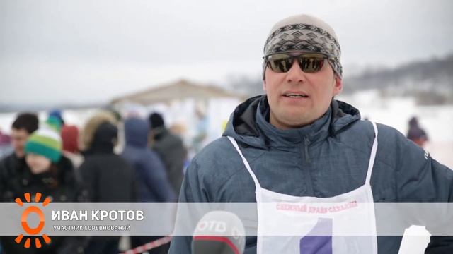 Собаки, нарты, пара лыж