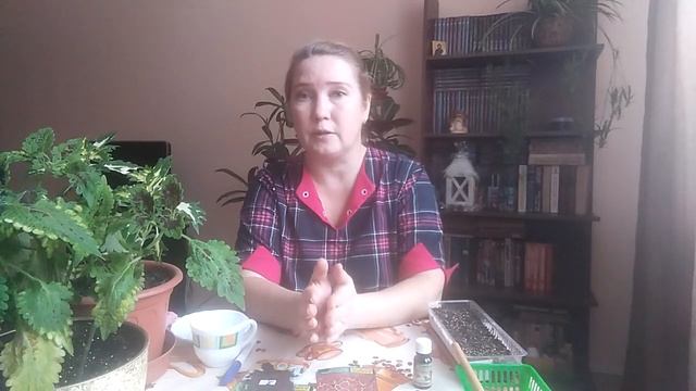 Посев колеуса!