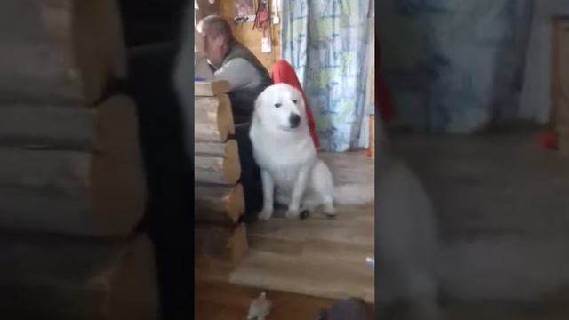 4261c6261dd305760093c98c069e7c16