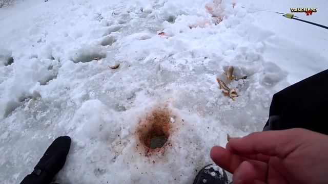 Приехал в заводь, наловил окуня. Ночевка в зимней палатке Polar Bird 4TLong с печкой.