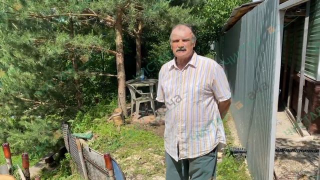 Удаление берёзы в Раменском районе