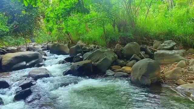 Peaceful River Sounds And Nature Sounds (Relaxation,Meditation,ASMR)