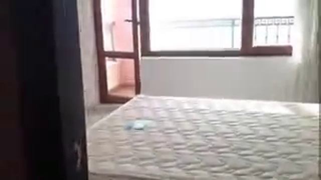 22a654cb3b3f0500f86daf5380efff5f