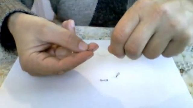 Ловля Спиннингом