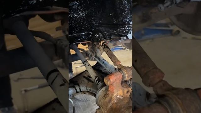 Дизайнерский Акцент