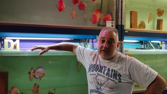 Живой корм для дискусов , Все ЗА? & ПРОТИВ? Объясняем все плюсы и минусы # Тема подписчика !