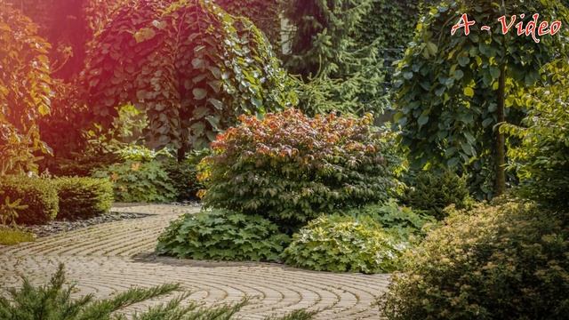 ?50Оригинальных ландшафтных композиций для загородного участка  Ideas for a garden plot A - Vide