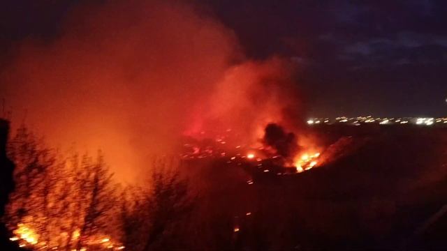 Так горит камыш