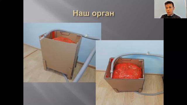 Алманбетов Бектур - Культурология и искусствоведение / #КУЛИС_ШАГВБУДУЩЕЕ